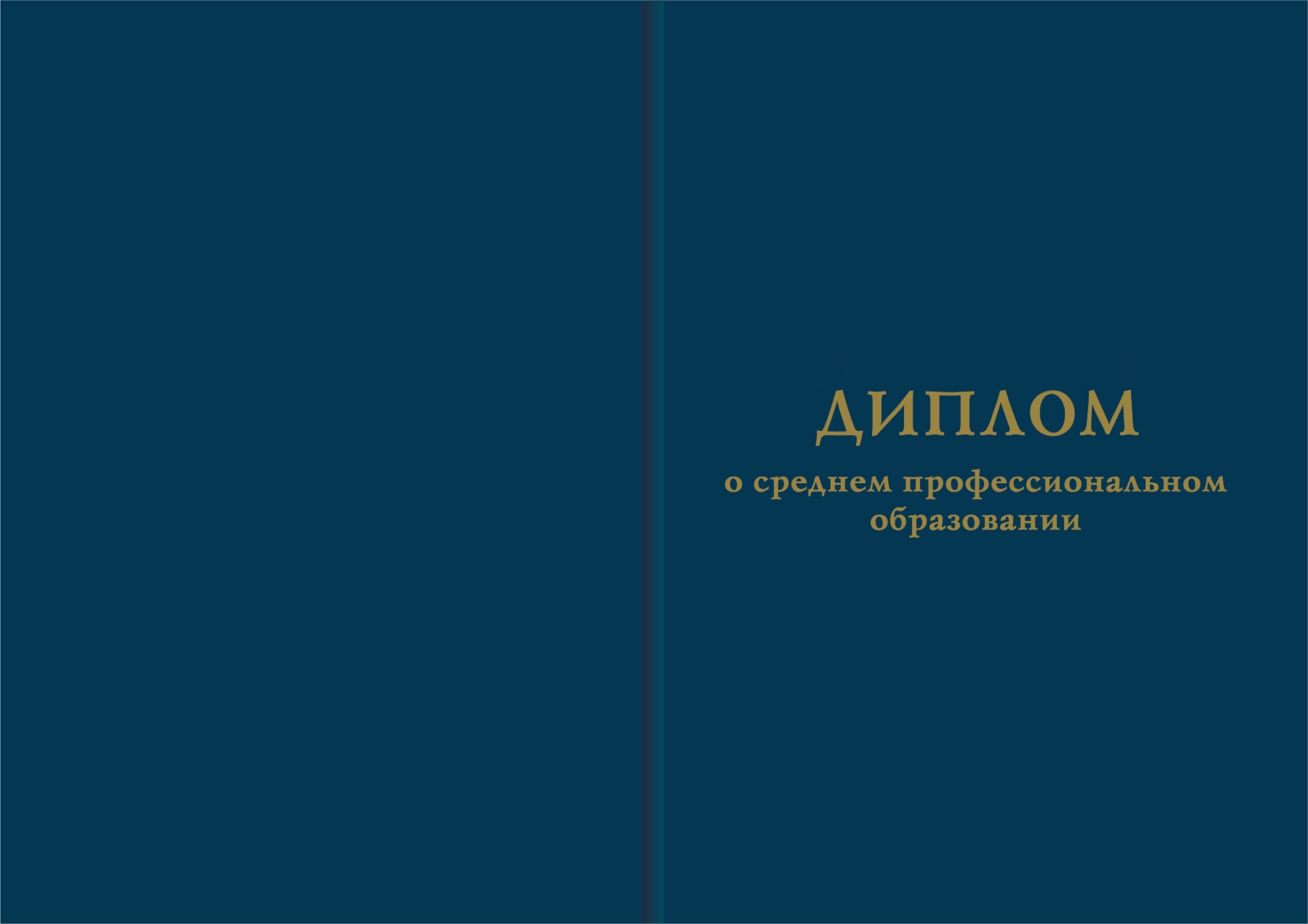 39.02.01 Социальная работа: обучение в колледже дистанционно после 11  классов на специалиста по социальной работе заочно, получить диплом о  среднем профессиональном образовании онлайн - АНПОО «НСПК» Ангарск